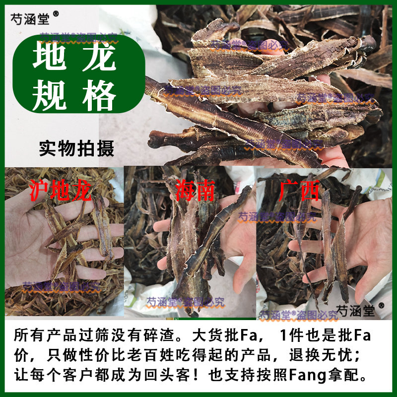 广地龙中药材沪地龙河南地龙海南正品无泥地龙干片地龙粉蚯蚓干