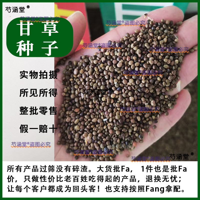 红皮甘草种子中药材甘草种籽春产地新疆内蒙甘肃甘草四季种植苗孑