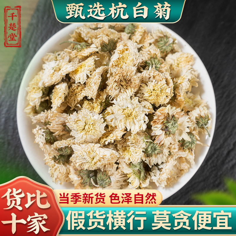 杭白菊菊花茶500克/100g杭白菊花桐乡正宗杭州贡菊胎菊官方旗舰店