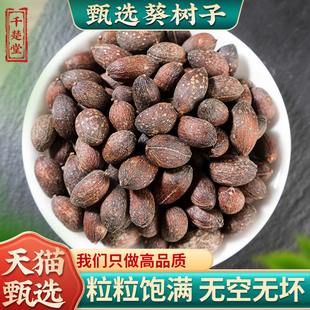 葵树子野生中药材500g精选广西大粒葵树籽老果葵扇子葵扇籽蒲葵籽