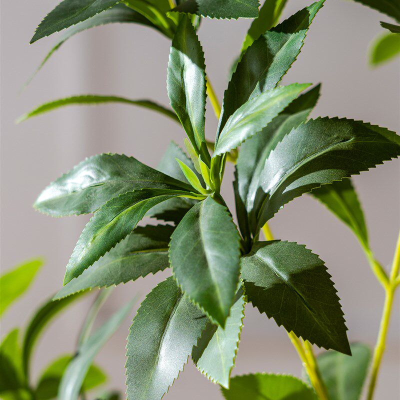 大型模拟绿色植物悬挂钟马醉酒木室内商店盆栽景观彷生假植物窗落