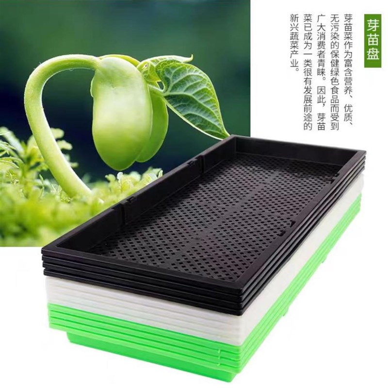 1育苗盘水培盘无土栽培商用种植盘豌豆苗用长方形芽菜专用筐