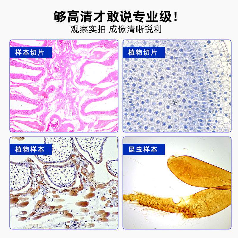 专业生物显微镜2500倍 三目高清可接电脑观测