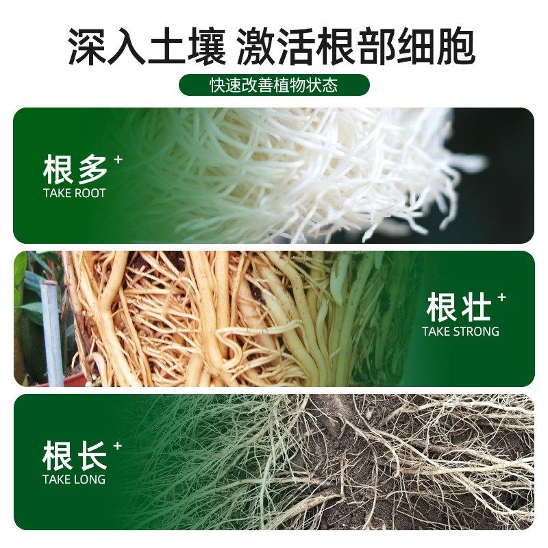 营养液植物通用型树木移栽壮苗专用肥料强力生根剂大树复活营养液