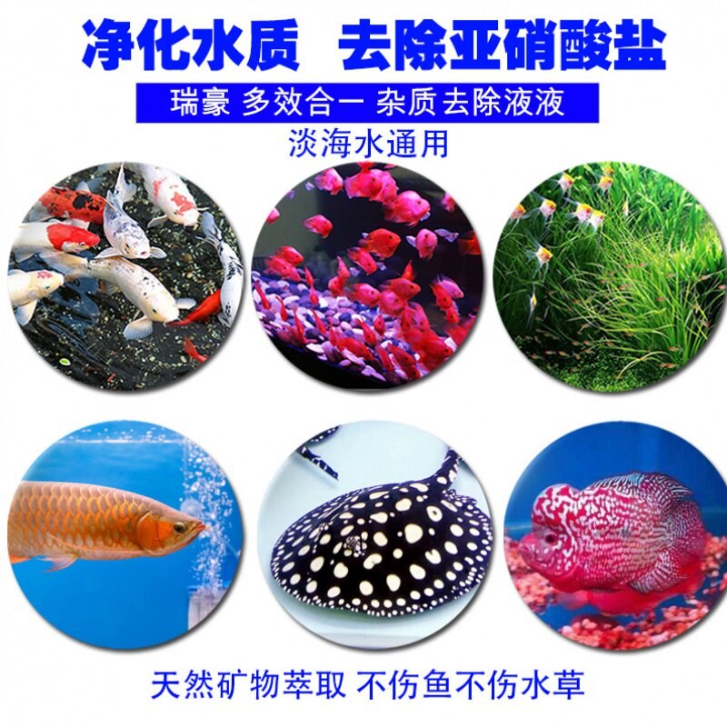 瑞豪鱼缸高效净水剂除绿藻腥臭硝化细菌水质稳定剂杂质去除液