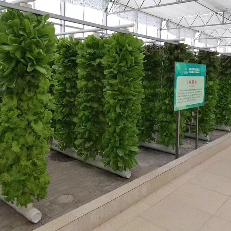 阳台种植架无土栽培设备家庭阳台种植蔬菜草莓水培立体移动花架