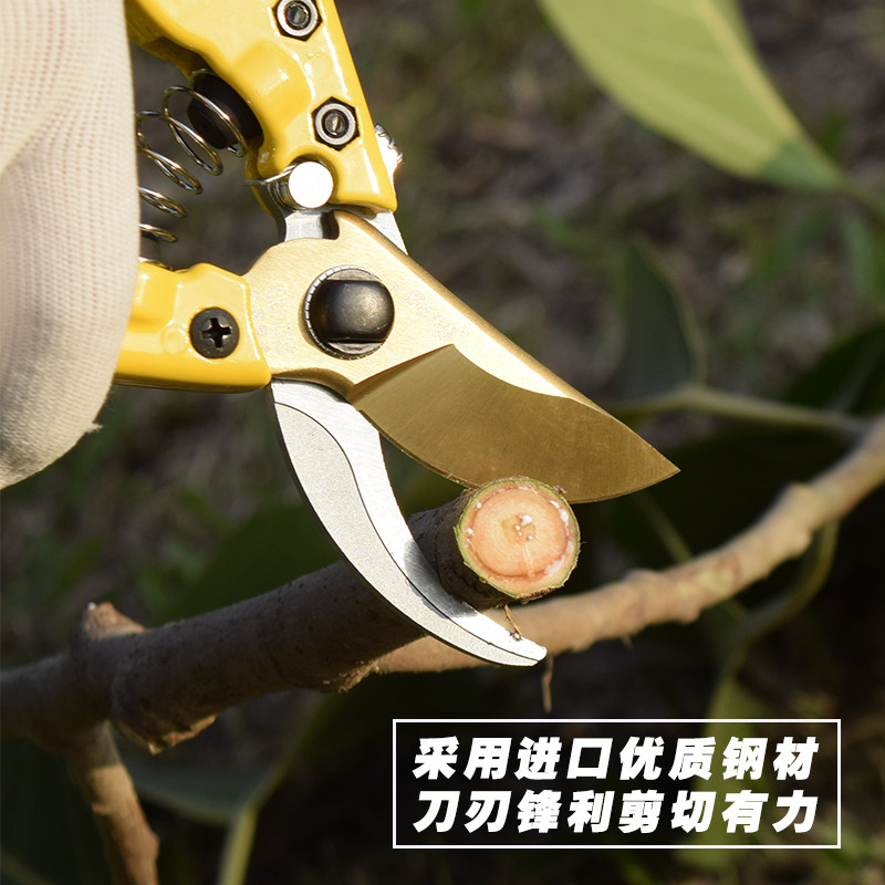 台湾进口园艺花卉剪刀修枝剪果树剪子SK5专用家用工具园林花枝剪