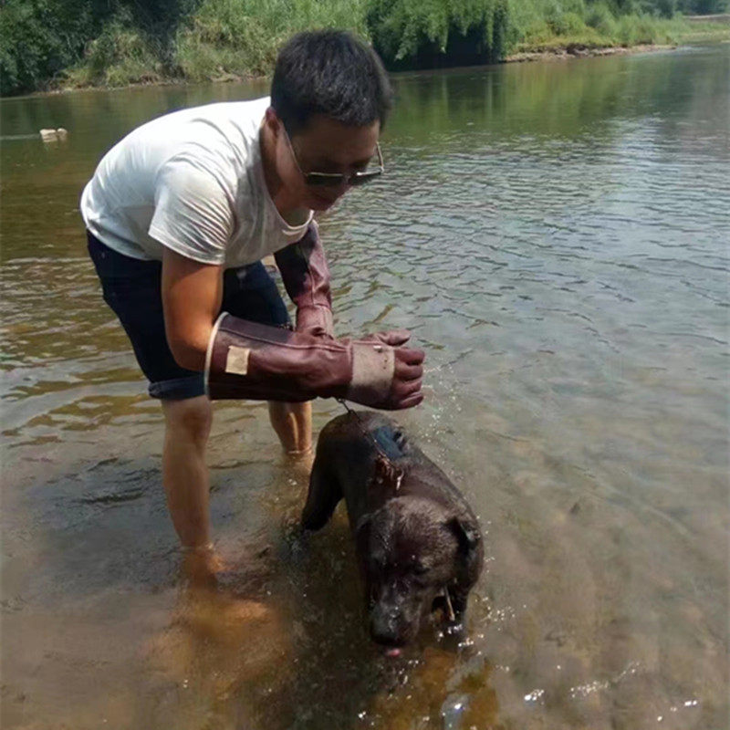 防狗咬手套皮颠抓猫狗防咬伤训犬专用加厚洗澡牛皮爬宠物防咬手套