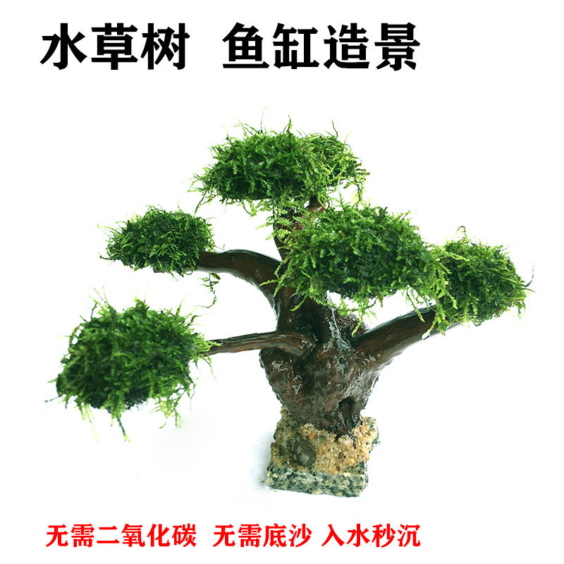 迎客松莫斯沉木树鱼缸水草造景淡水养殖成品无需底沙水草泥