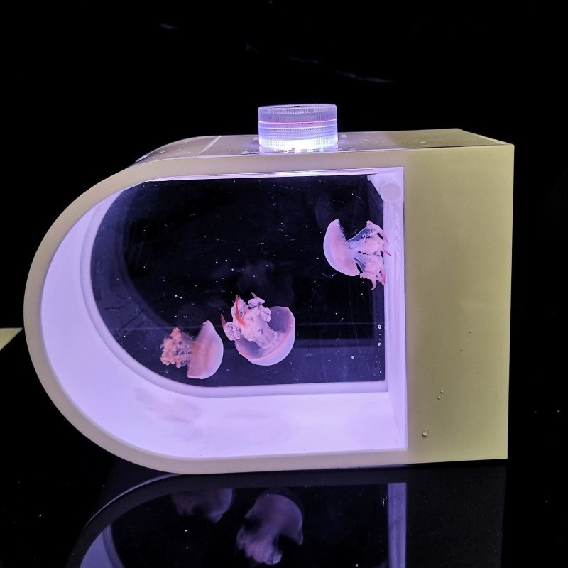 桌面水母缸迷你专业生态缸活物活体养殖小型桌面专用观赏鱼水族箱