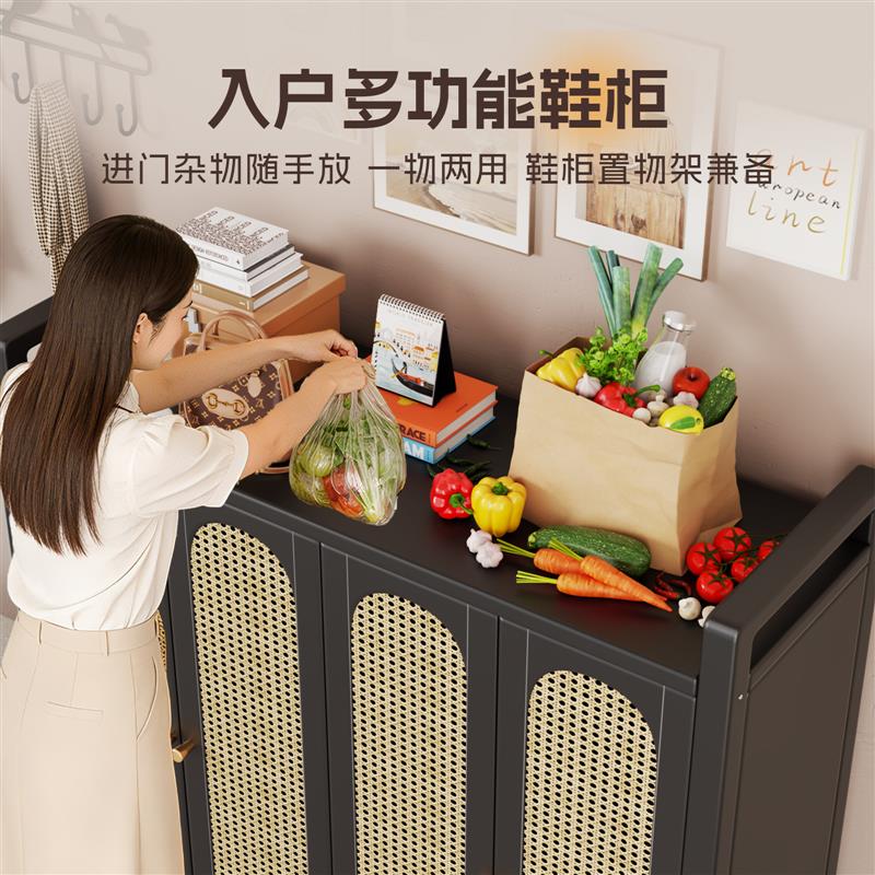 钢制鞋柜家用门口收纳柜一体靠墙入户门大容量防尘透气鞋架置物架