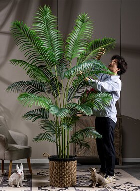 高级仿真绿植大型散尾葵假树仿生绿色植物凤尾竹室内造景装饰摆件