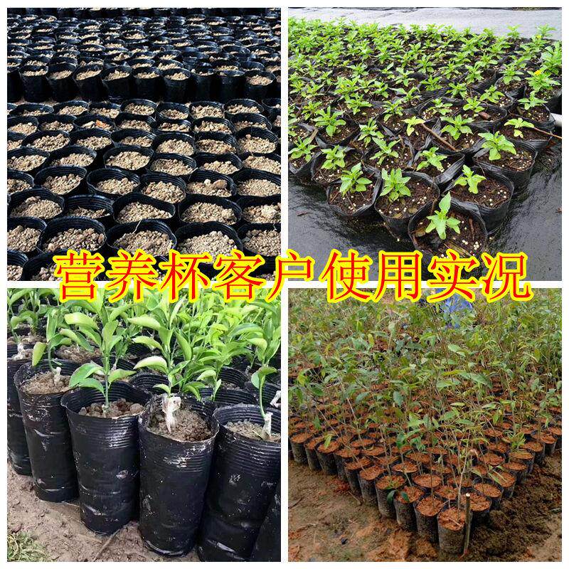 营养杯育苗杯一次性黑色加厚塑料育苗袋厂家直销西瓜育苗盆营养钵