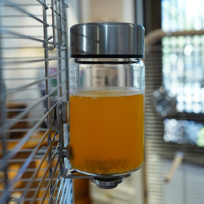 鸟用饮水器鸟喝水牡丹虎皮鹦鹉撞针水壶蜜袋鼯龙猫玻璃自动喂水器