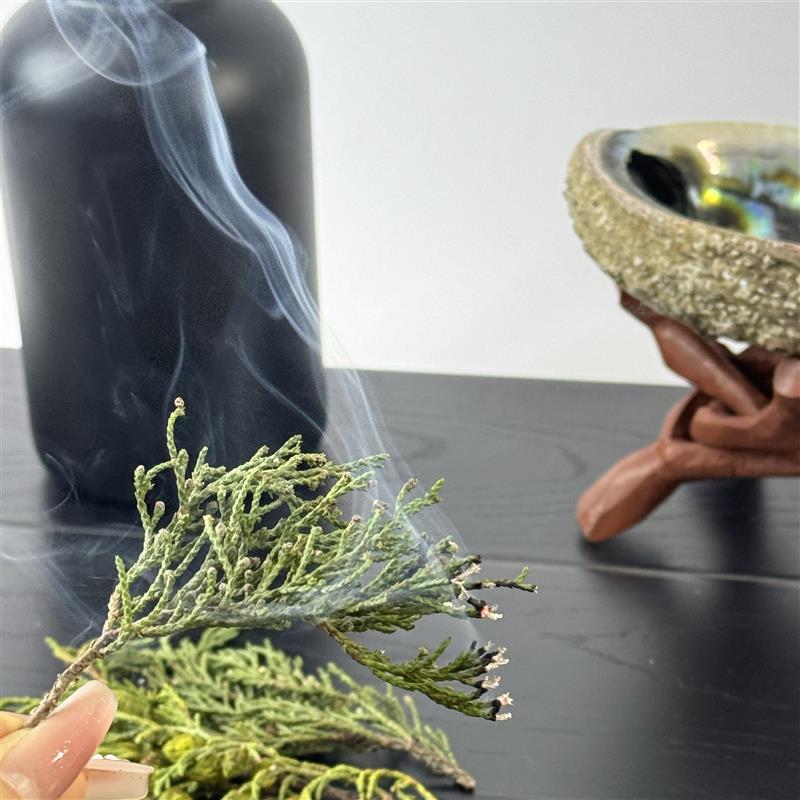 真正西藏藏香柏纯天然的植物熏香净化空间祛除杂质异味天然柏叶图片