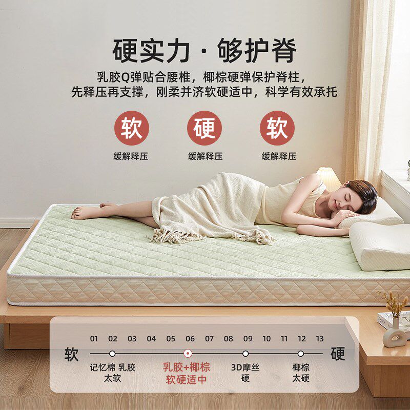 椰棕床垫硬垫家用卧室租房专用榻榻米加厚乳胶记忆棉软垫子1米5x2