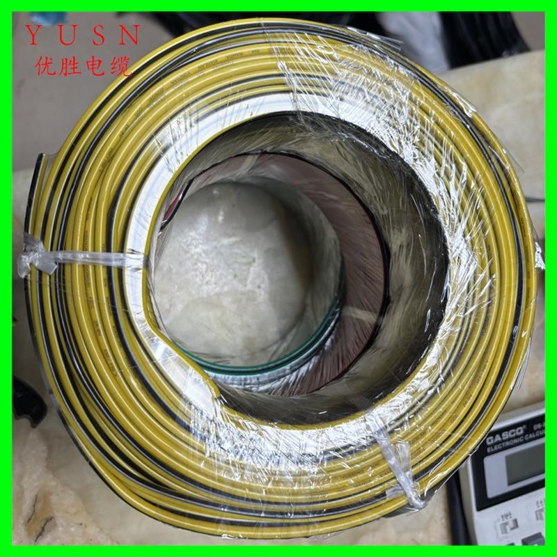 计量单芯线BV4平方红黑线/黄黑线/绿黑线/双色线阻燃铜芯互感器线