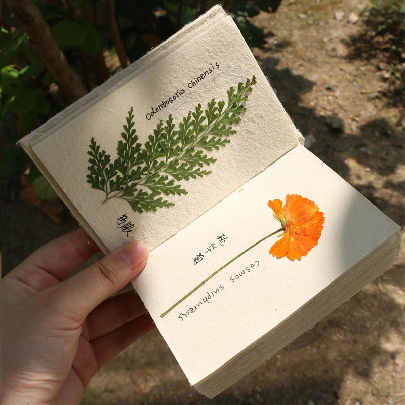 植物压花手账本尼泊尔手工本干花diy材料包标本册创意复古笔记本