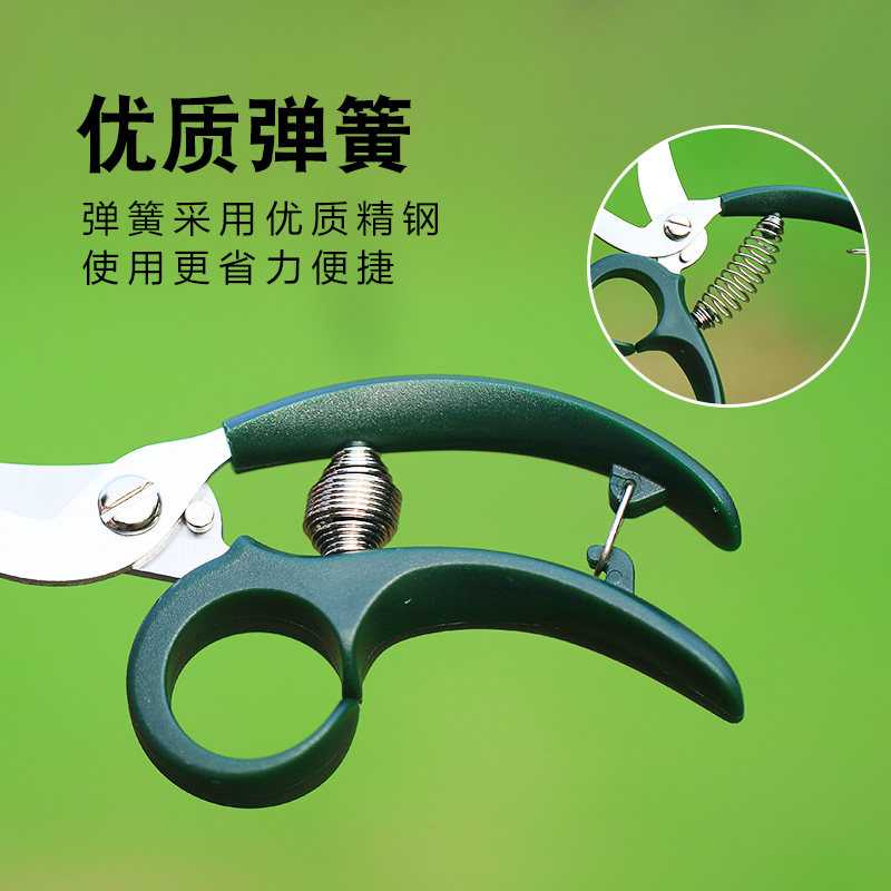 园艺迷你修花小剪刀养花多肉植物枝叶修剪园林修枝剪小花剪