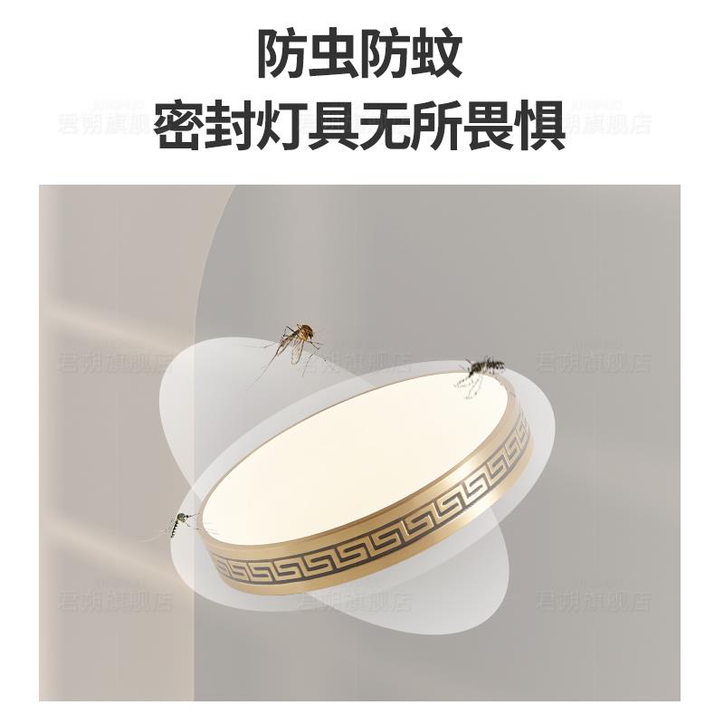 室外吸顶灯防虫防水进门灯中式别墅全铜超薄入户灯花园露台阳台灯