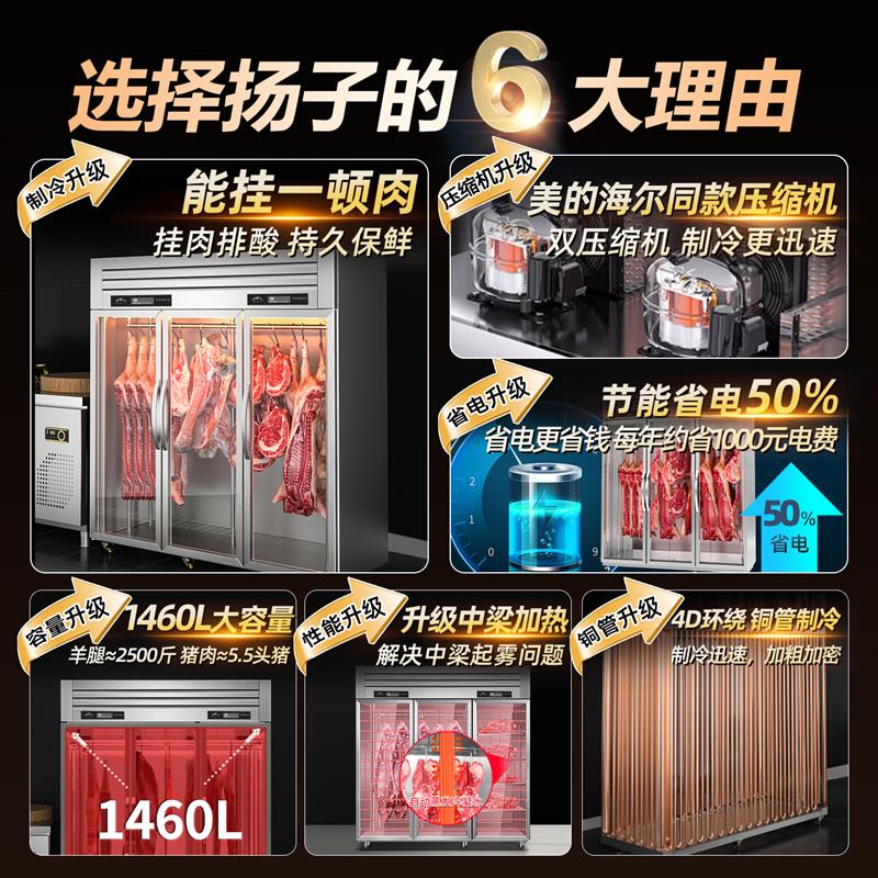 扬子商用挂肉柜牛肉羊肉排酸冷藏保鲜展示柜立式鲜肉冷藏冷冻冰柜
