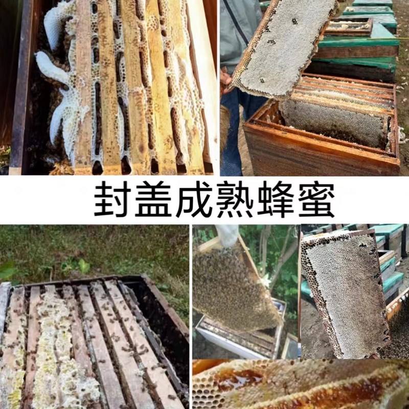 蜂蜜 农家自产云南百花蜜 农户直发 一瓶包邮2斤装