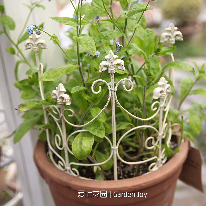 爱上花园围栏栅栏爬藤架支撑架庭院户外铁艺植物爬藤架支撑架栅栏