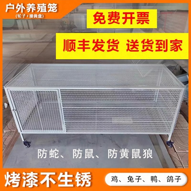 铁丝网特大号防鼠鸡笼 不锈钢防黄鼠狼养殖笼 伸头天窗设计
