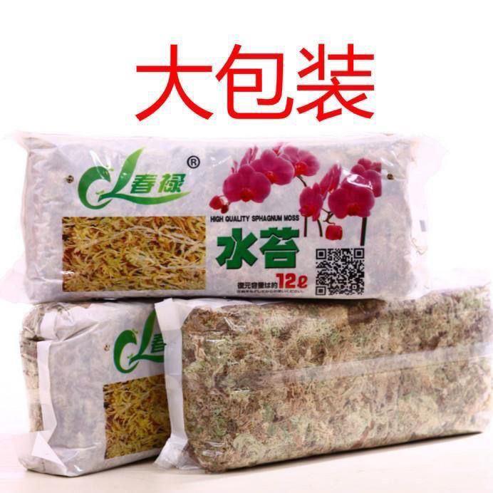 海苔蝴蝶兰水苔蝴蝶兰专用青苔兰花石斛专用土苔藓乌龟仓鼠垫料捕