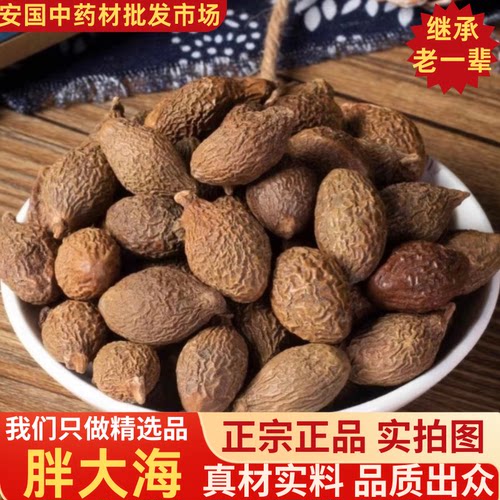 当季新货无硫国产胖大海泡茶