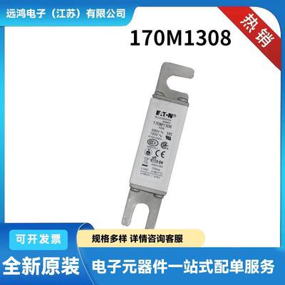 170M6947 170M6948 170M6949 170M6950原装陶瓷熔断器 保险丝