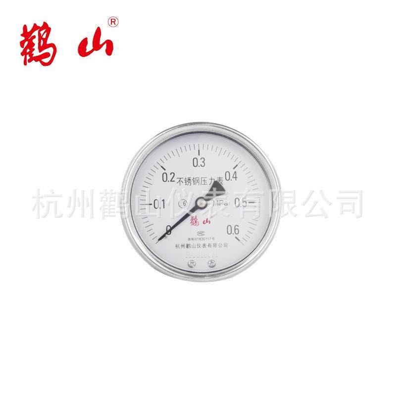 Y100BFZ 全不锈钢轴向压力表 轴向不锈钢表 材料304厂家直销,鲜花速递/花卉仿真/绿植园艺,割草机/草坪机,淘宝优惠券,粉丝福利购,淘宝优惠卷