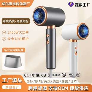 跨境发廊电吹风机家用负离子护发大风力理发店不伤发工厂源头代发