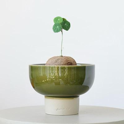 北欧绿色陶瓷花盆高脚多肉山乌龟植物绿植创意个性大口径蕨类粗陶