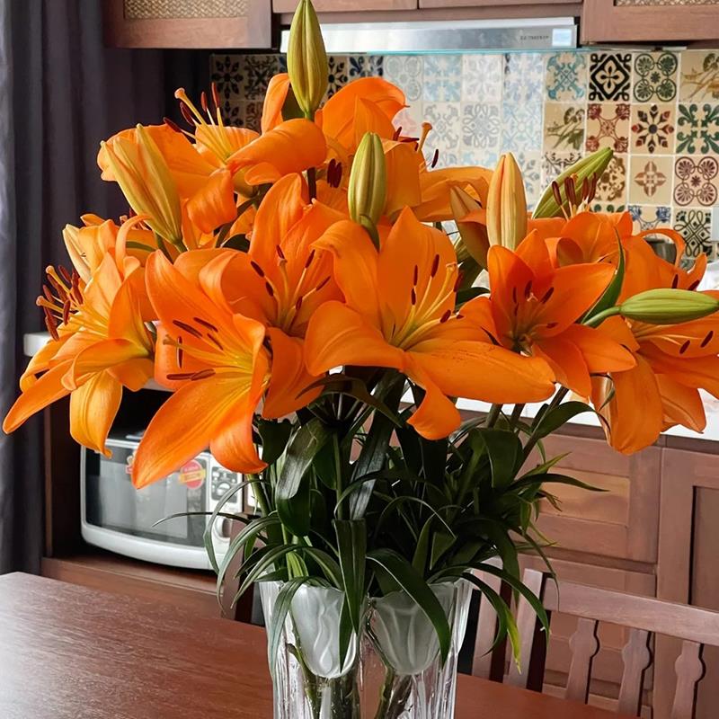 橙色亚百合鲜花云南基地直发花束花卉真花水养斗南花市插花家用