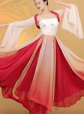 新款现代古典舞蹈表演出服艺考练功E服中国风身韵纱衣大摆裙汉服