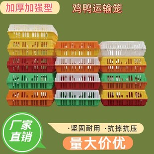 鸡笼运输笼周转箱养殖家禽筐塑料框成鸡鸭鹅N鸽子兔笼家用大号鸡