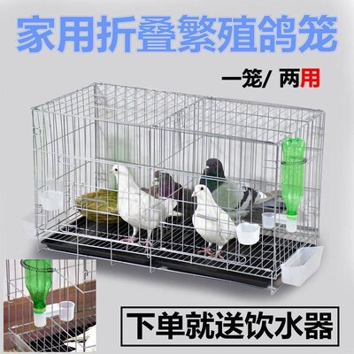 养鸽子专用笼新型鸽子笼家用笼y子配对笼养殖笼不锈钢鸡笼特大鸟