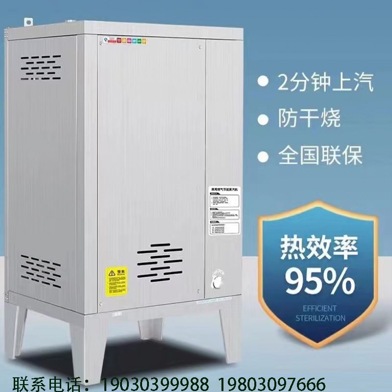 小型商用电加热蒸汽锅炉工业节能环保天K然气蒸汽发生器洗浴餐饮