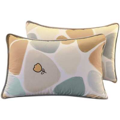 加厚纯棉加绒珊瑚绒枕套单人全棉法兰绒枕头套48x74cm一对装冬季