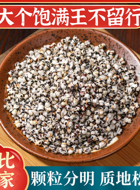 王不留行中药材正品500g炒王不留行王不留行籽子另售通草路路通