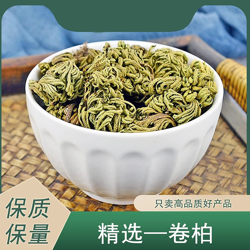 卷柏中药材简旋律正品野生九死还魂草卷柏还阳草药万年青石岩柏