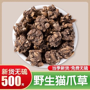 猫爪草中药材官方旗舰店正品猫瓜草批发非野生猫爪草的功效与作用