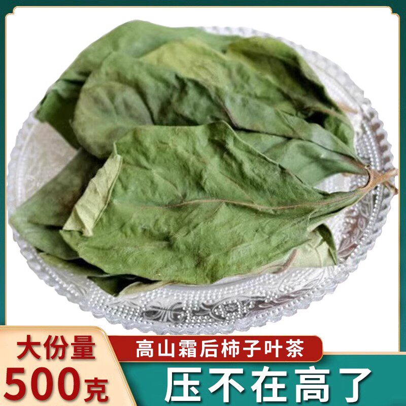 柿子叶茶中药材的功效霜降后霜打干柿子叶河南野生新鲜柿子树叶子