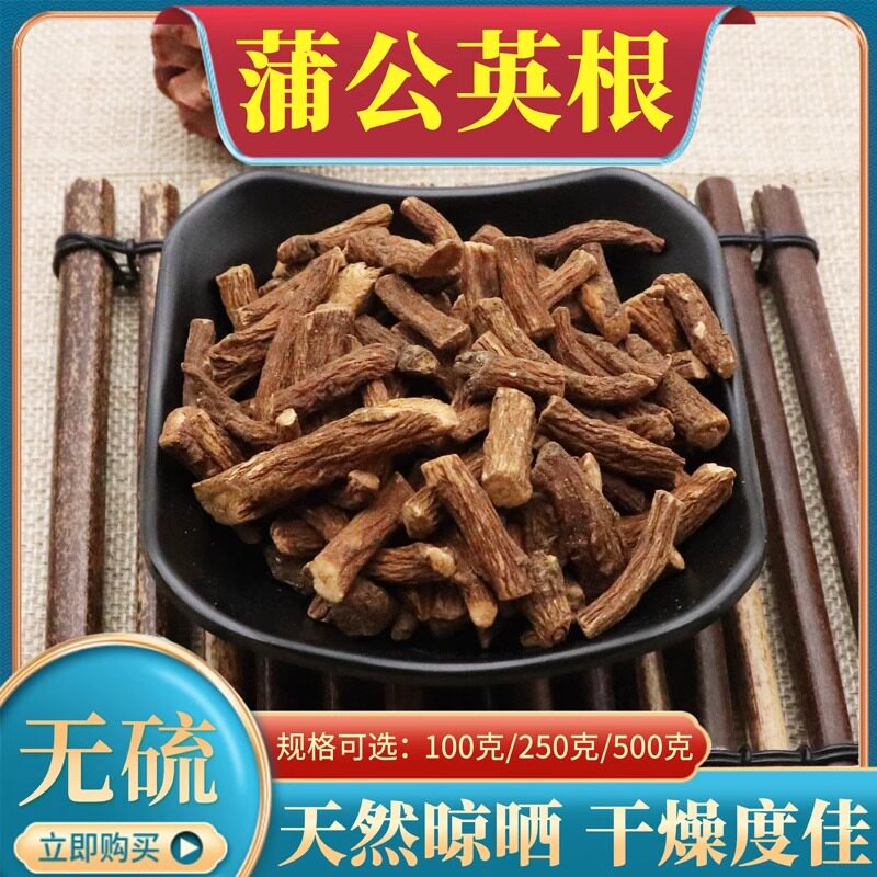 蒲公英根500g克蒲公英根切段婆婆丁黄花郎根干货天然中药材包邮