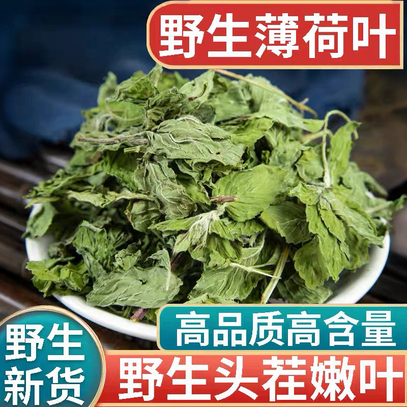 新鲜干品薄荷500g中药材天然正宗薄荷叶干薄荷茶食用薄荷泡水凉茶