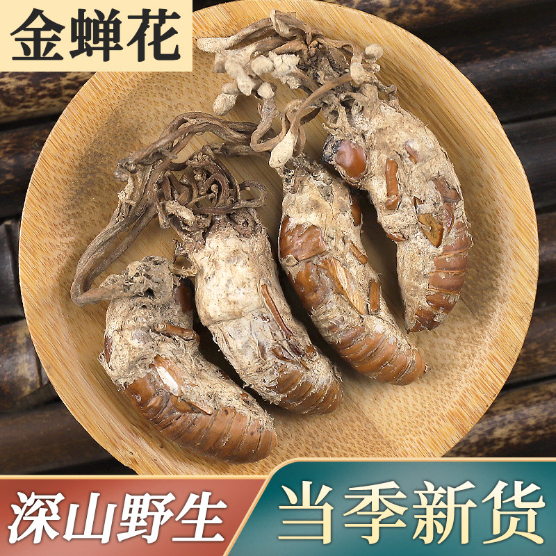 金蝉花中药材新鲜特级100g农家现挖野生知了可泡酒煲汤天然花虫草