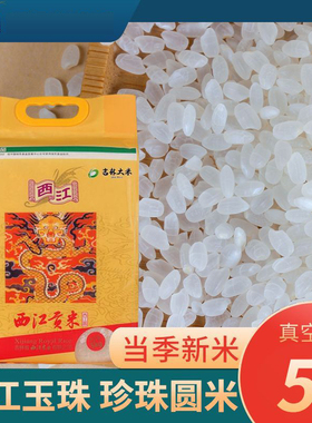 西江贡米西江玉珠25年新米东北大米长粒香米圆米珍珠米黑土绿色