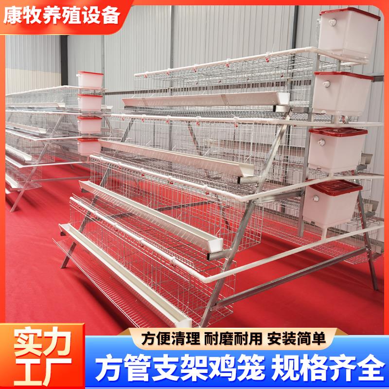鸡舍三层四层四门五门阶梯蛋鸡笼 养鸡场自养养殖自动化工厂直供