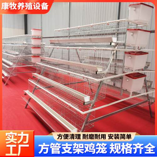 鸡舍三层四层四门五门阶梯蛋鸡笼 养鸡场自养养殖自动化工厂直供